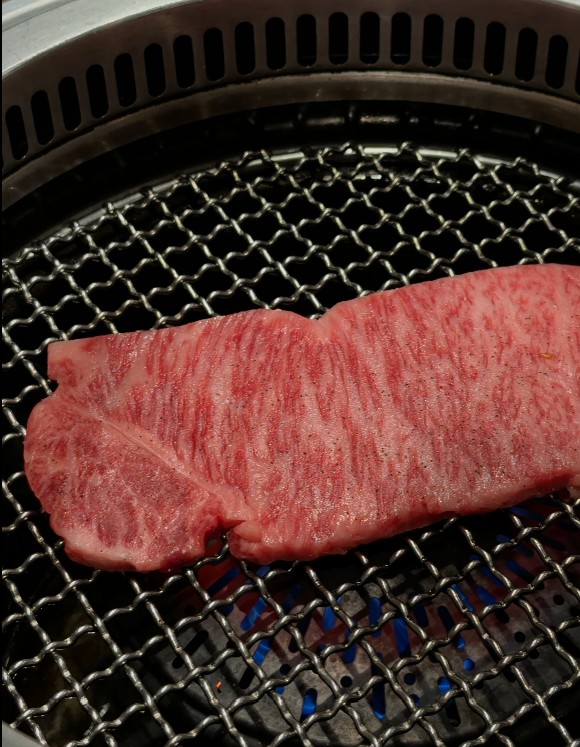 網の上に置かれた美しい霜降りの松阪牛